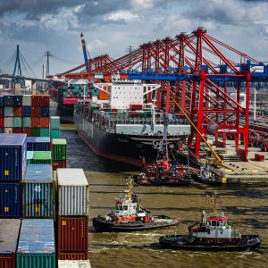Actualización Patrón Portuario en San Sebastian (Donostia)
